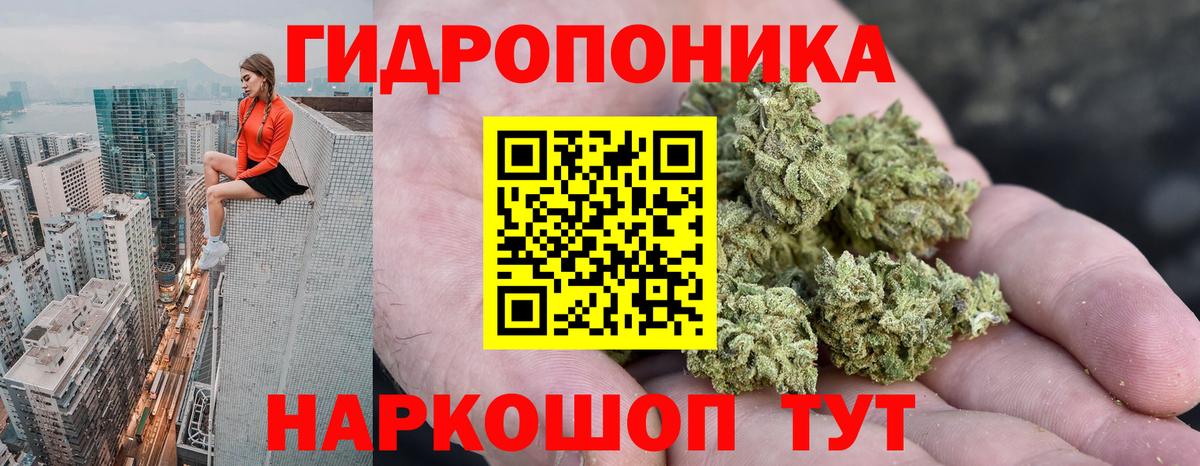 Каннабис тримм  Конопля гибрид  Белая Калитва  Шишки марихуана Bruce Banner  Бошки Шишки марихуана  Вход с VPN 